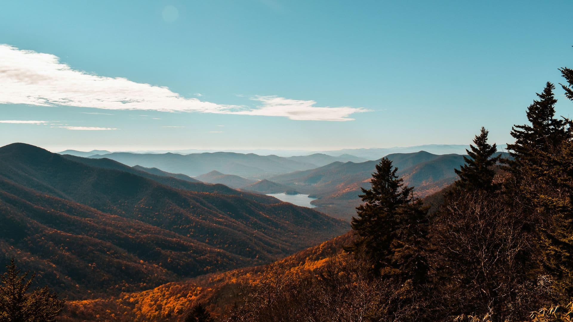 asheville_header
