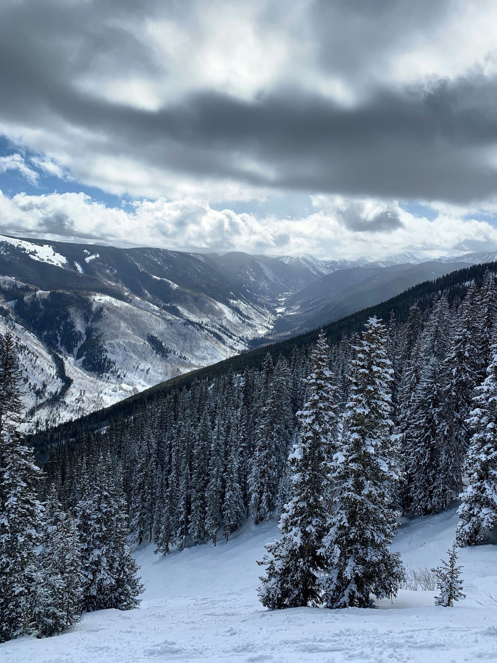 Aspen Ski