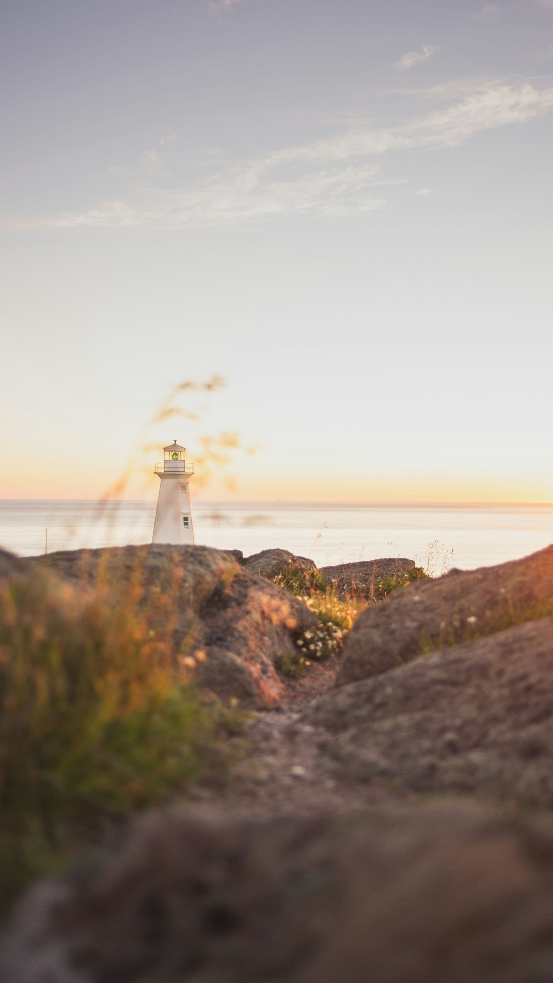 Cape Cod