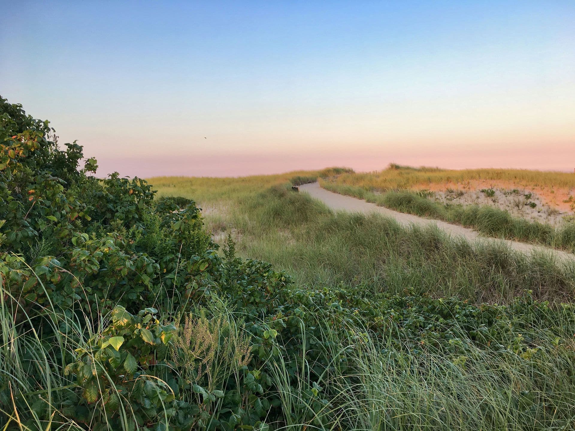 cape cod_header