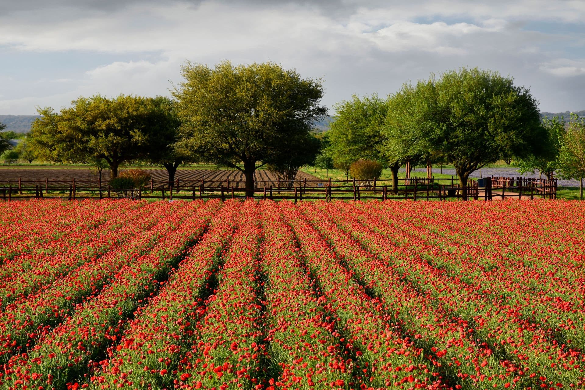 fredericksburg_header