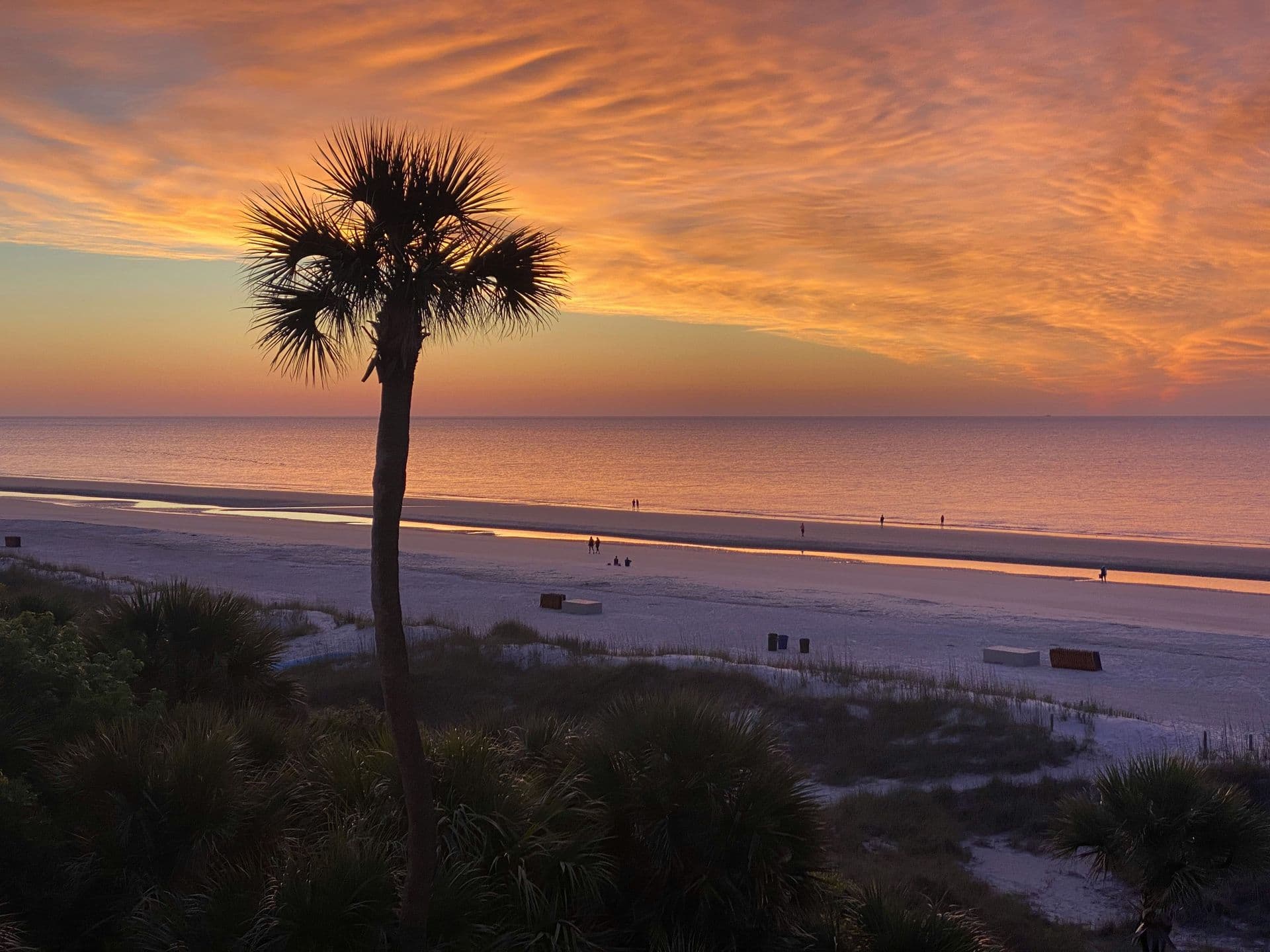 hilton head_header