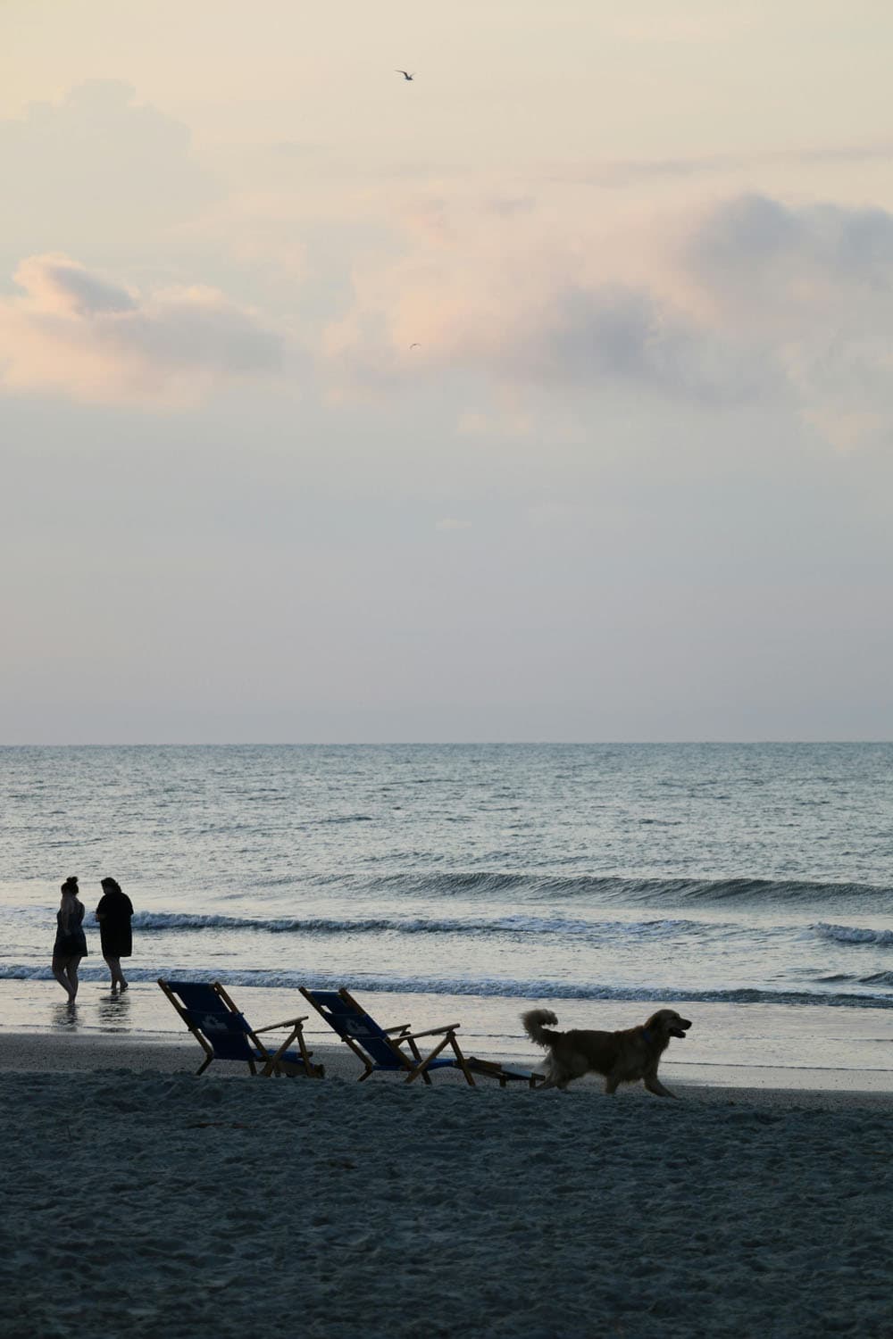 isle of palms_3rd