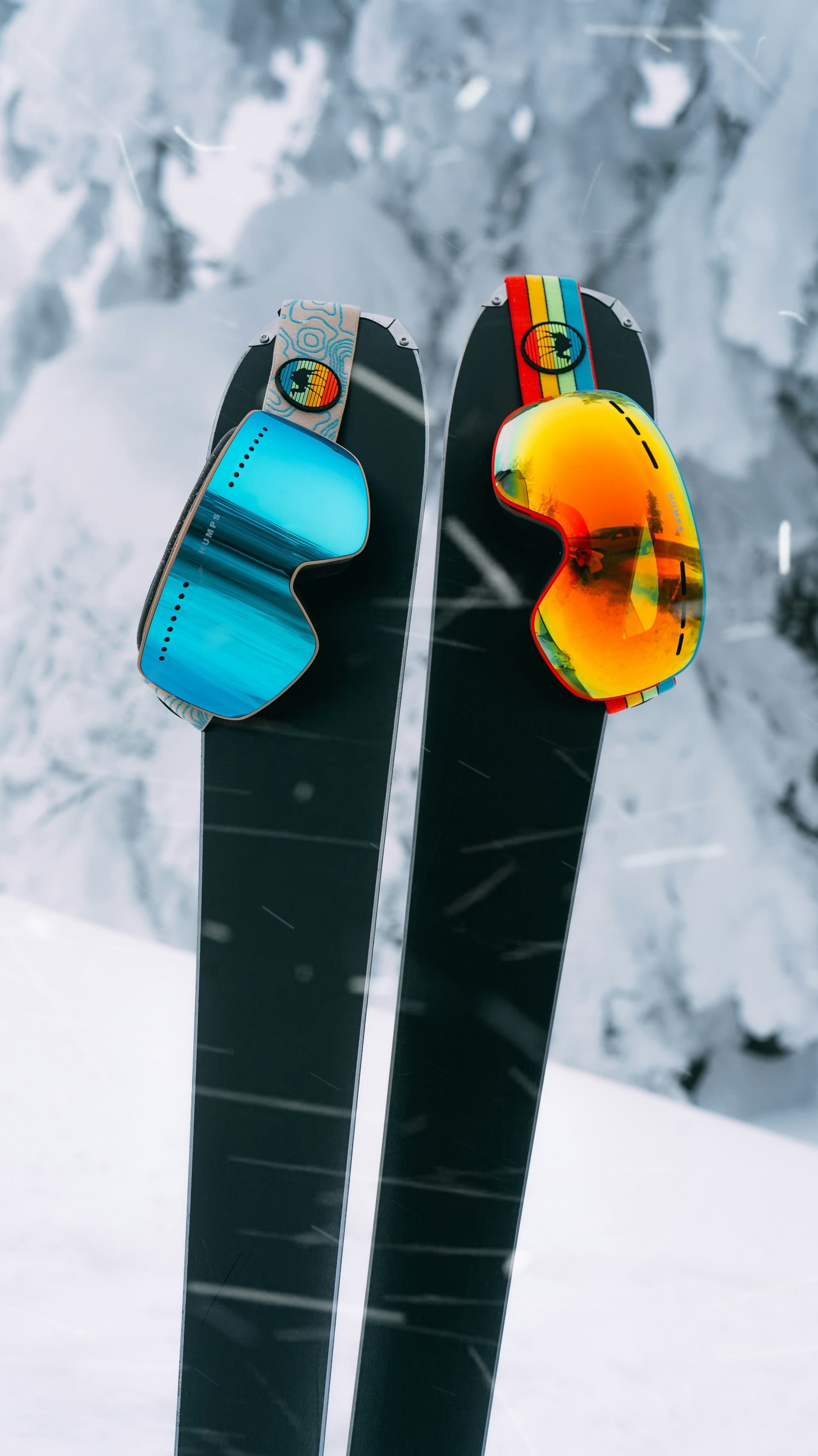 Ski fitting + delivery
