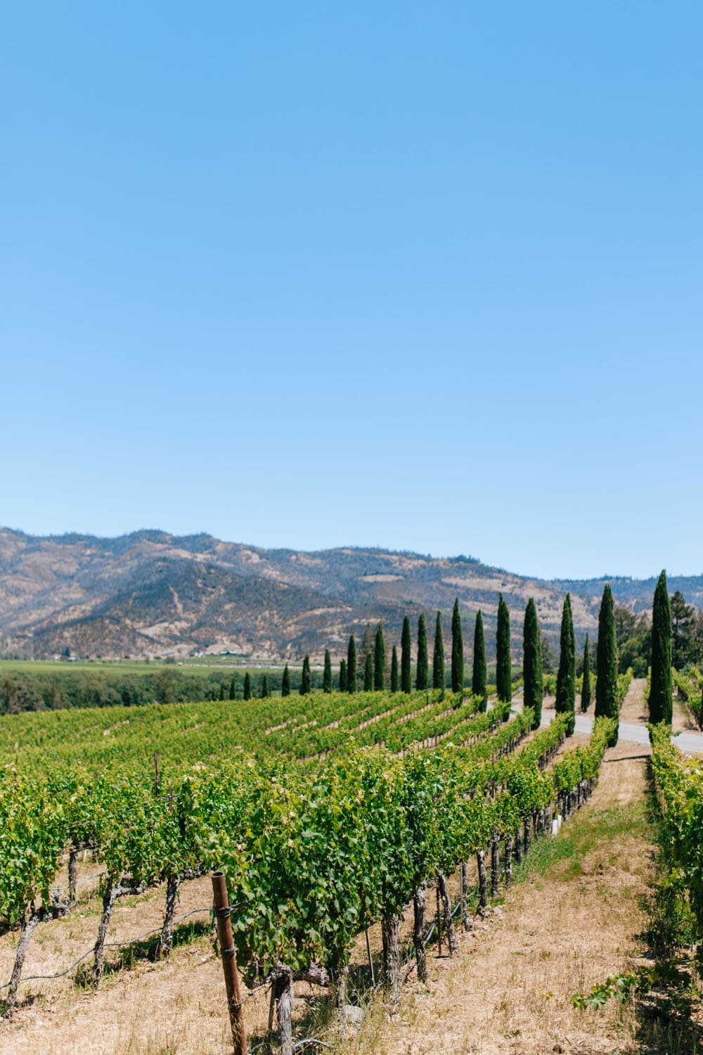 napa_3rd