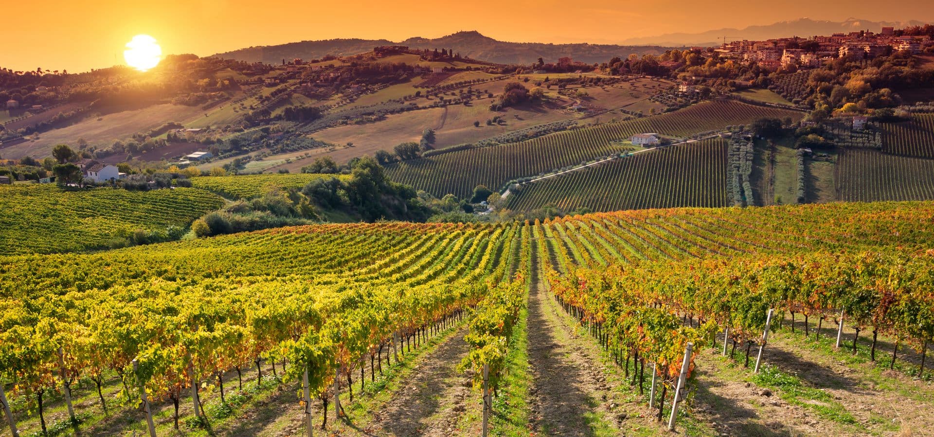 napa_header