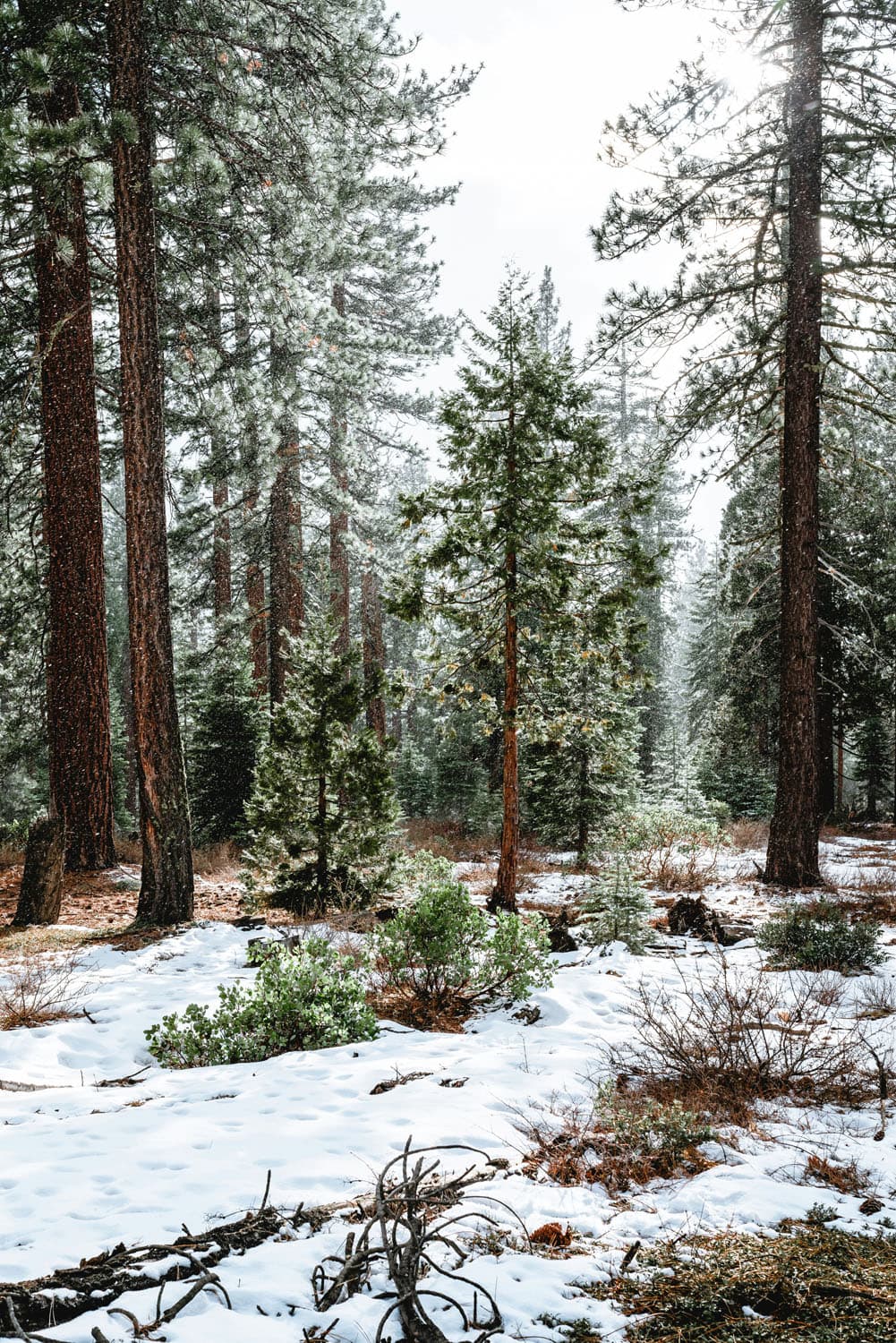 north lake tahoe_3rd