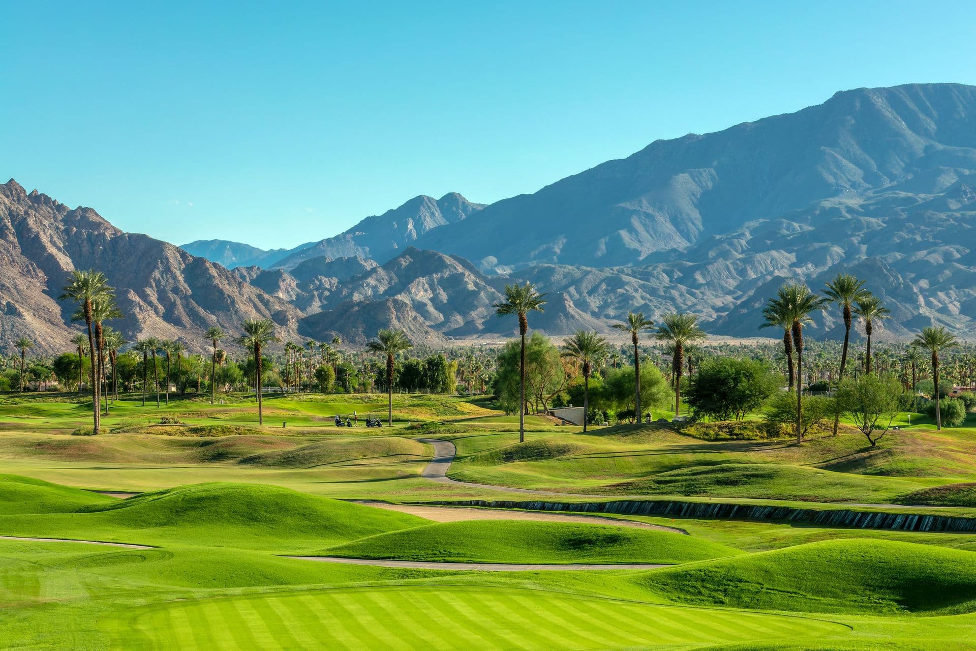palm springs_header