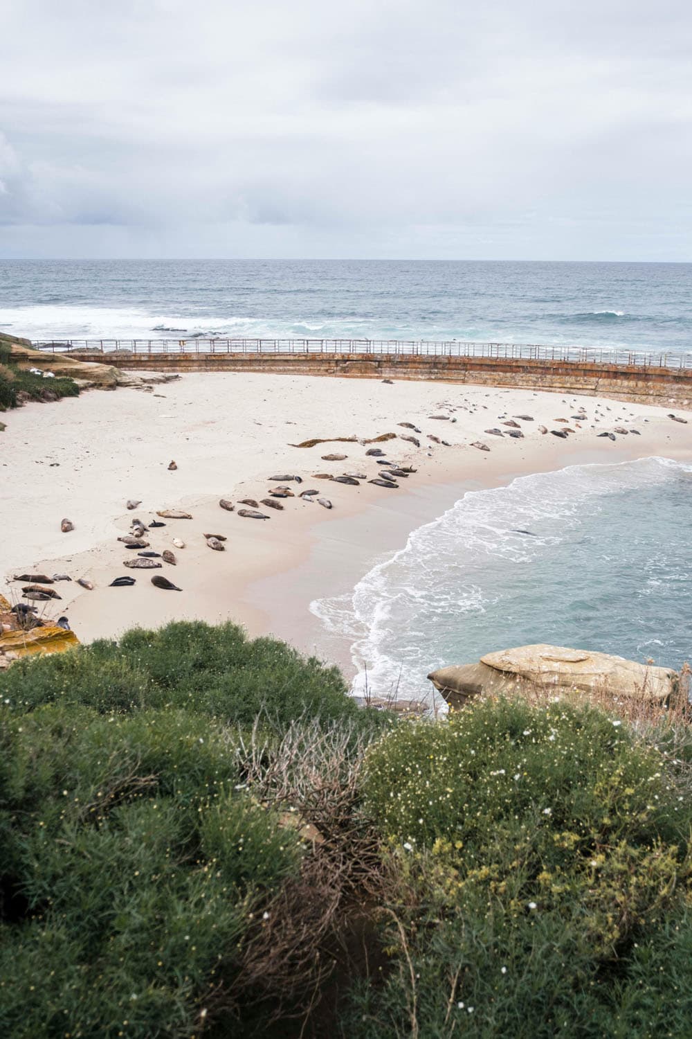san diego_3rd