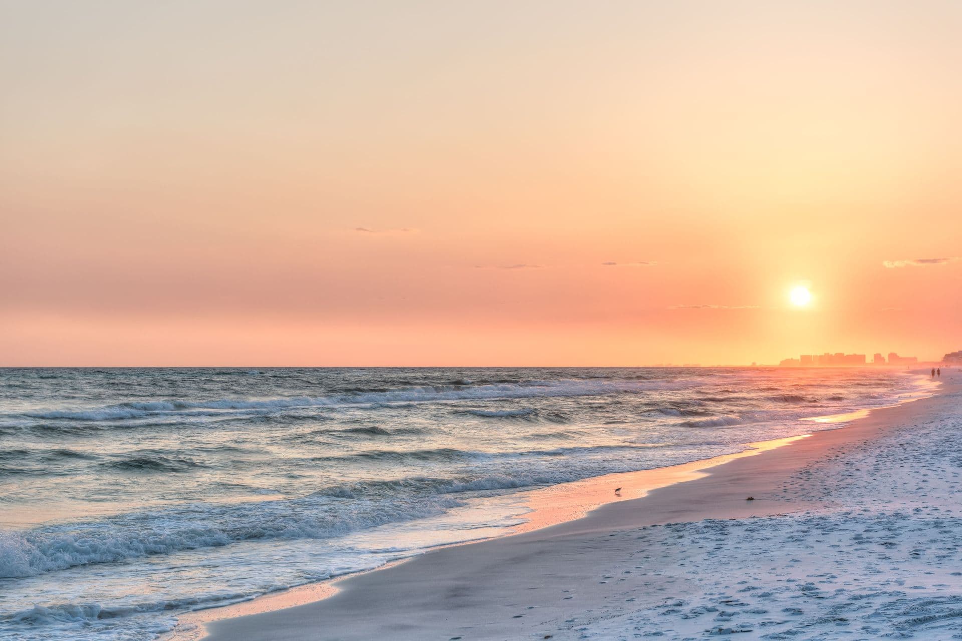 santa rosa_header