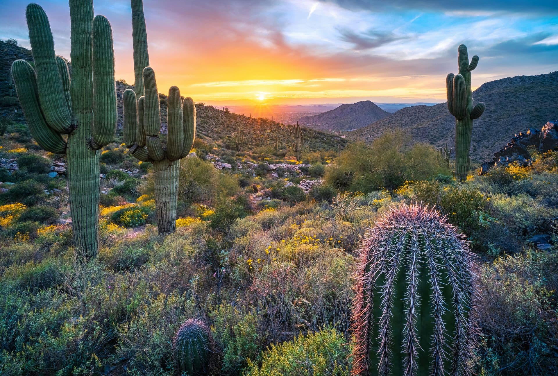 scottsdale-header