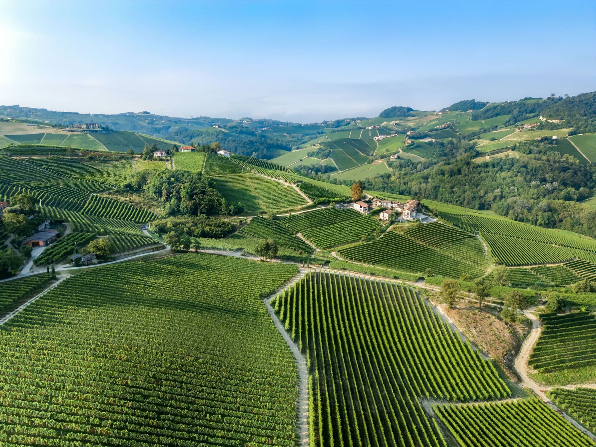 sonoma_header