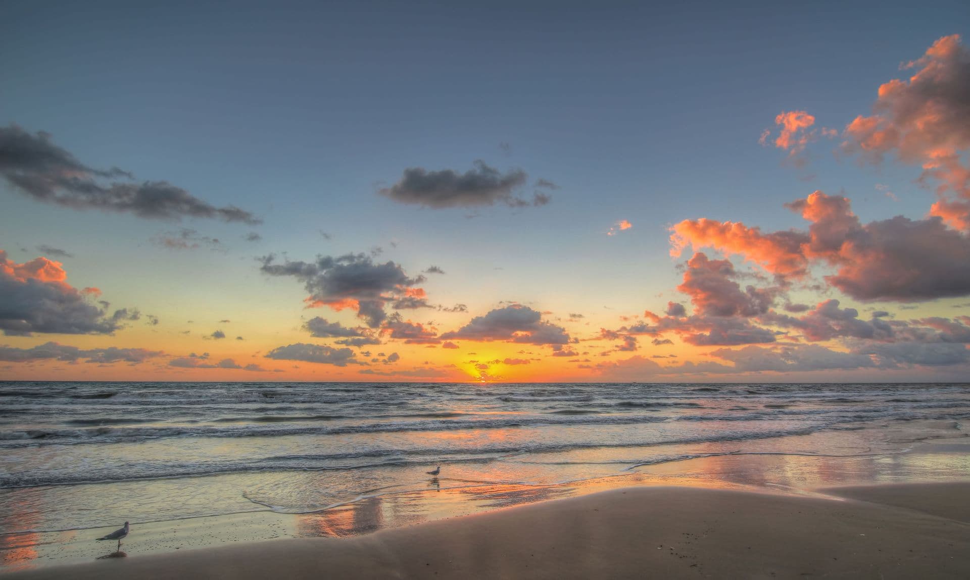 south padre island_header
