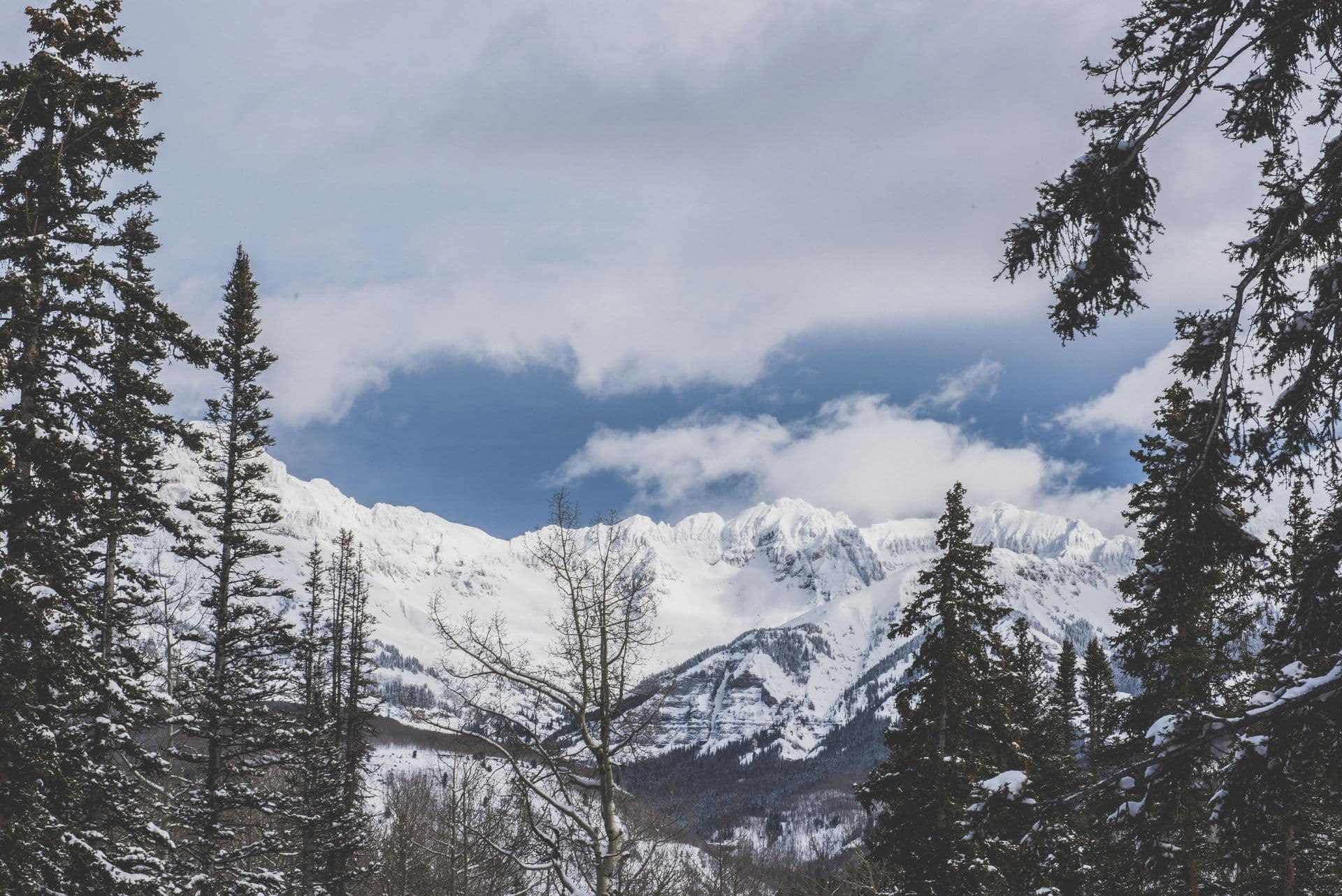 Telluride Ski