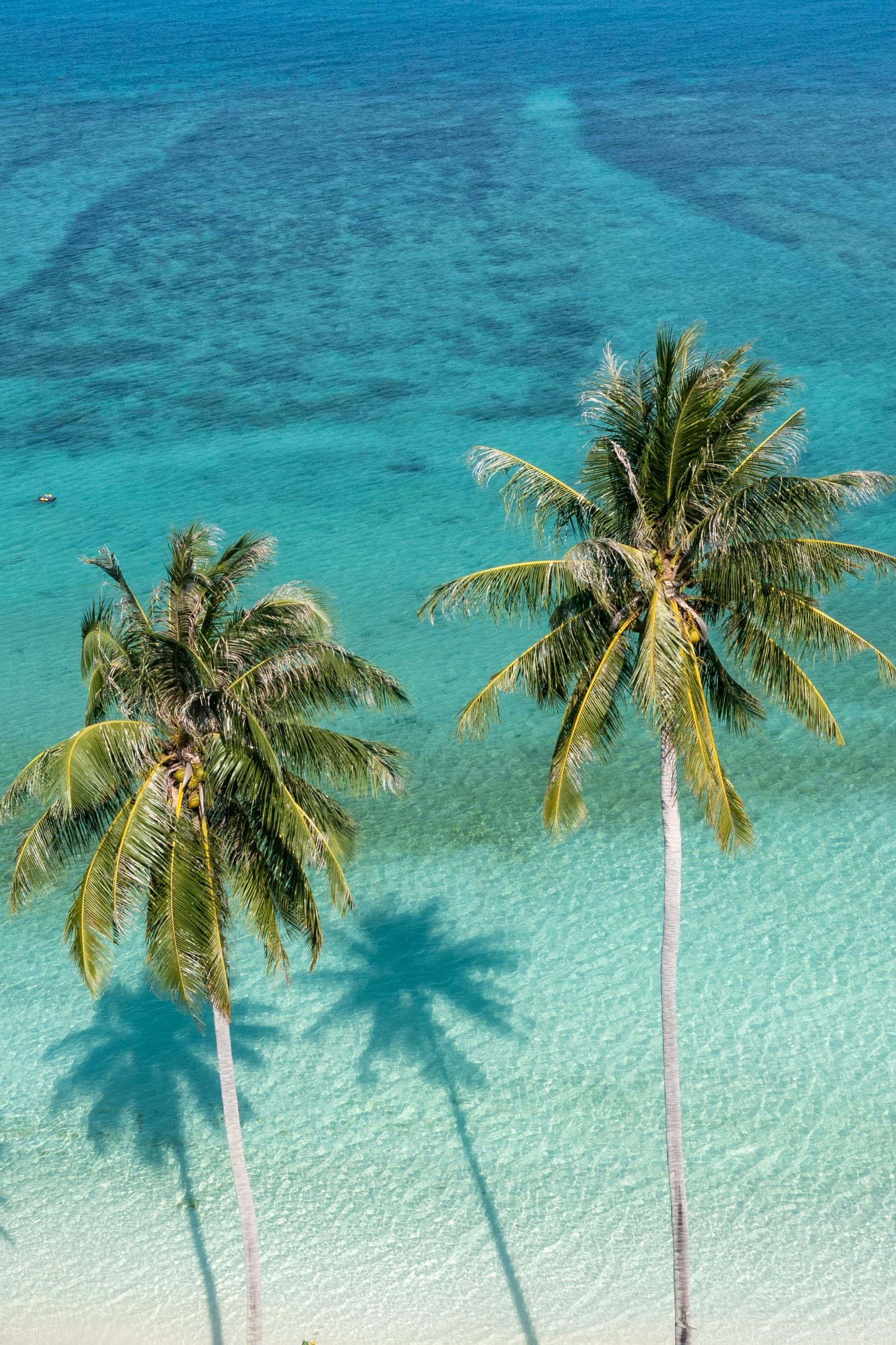 turks and caicos_header