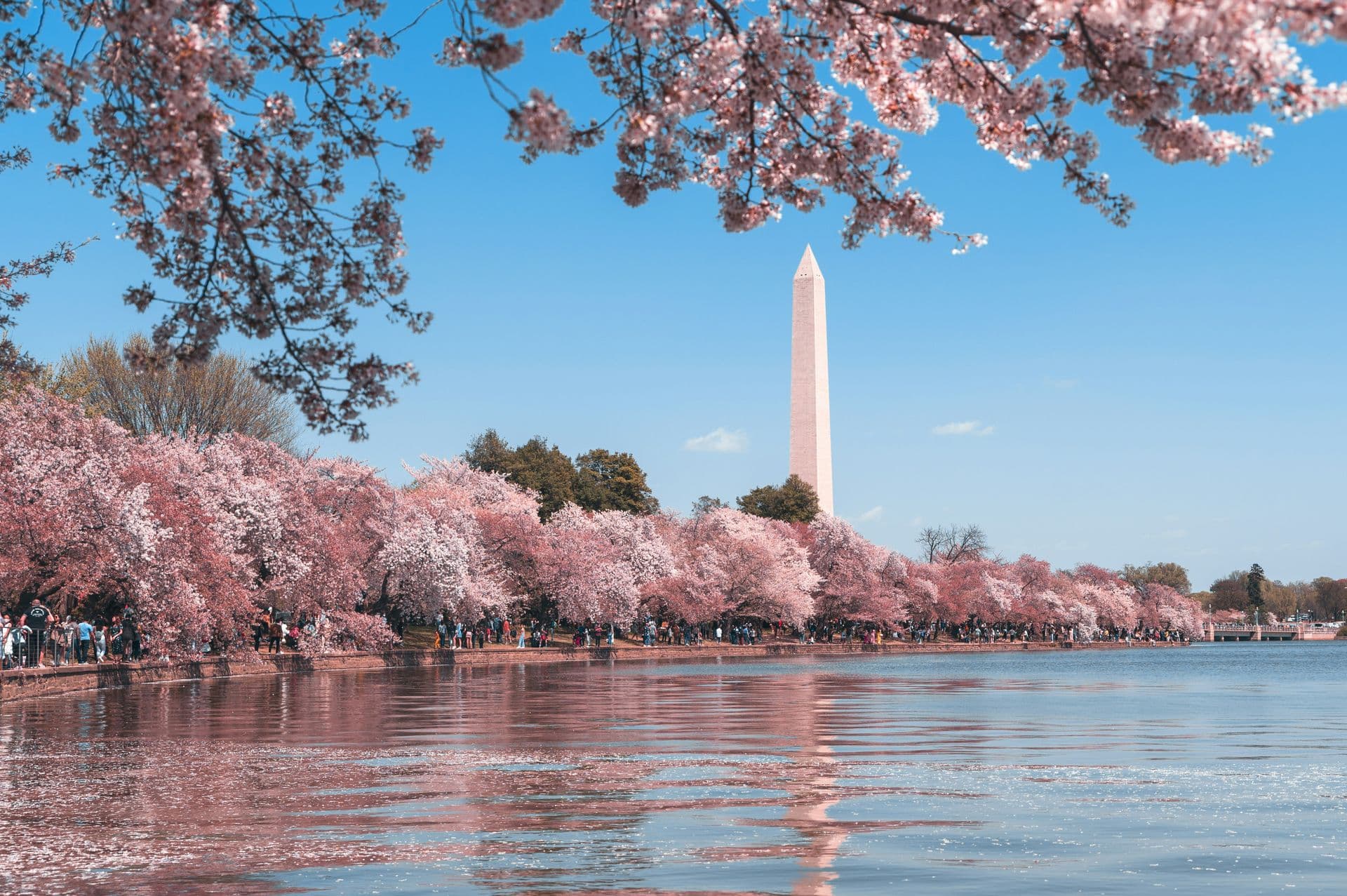 washington