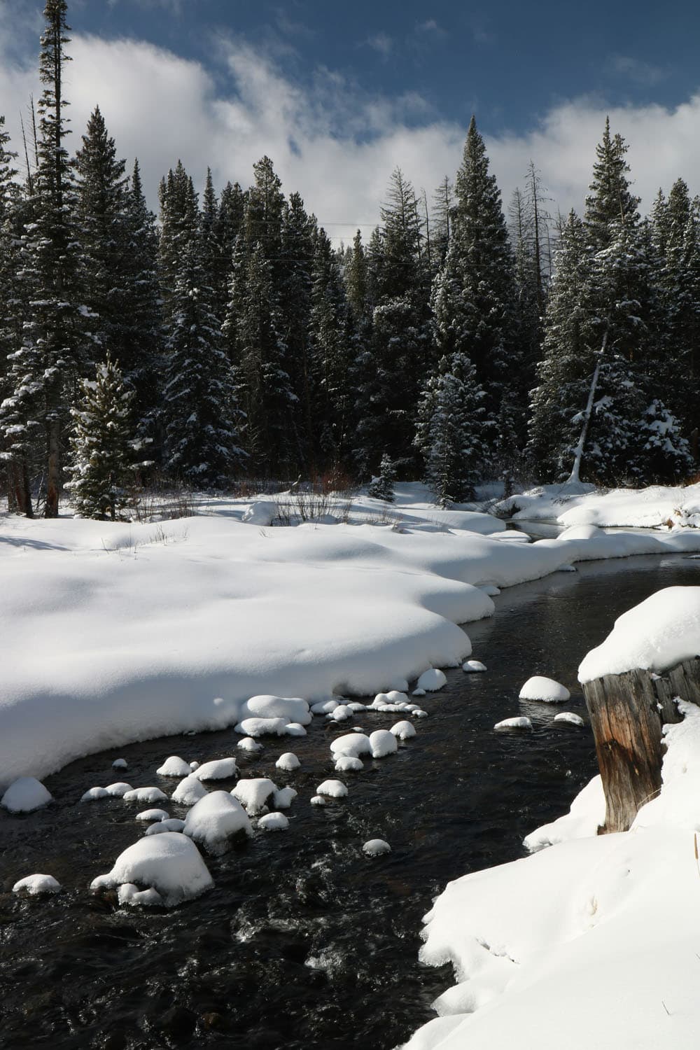 winter park_3rd