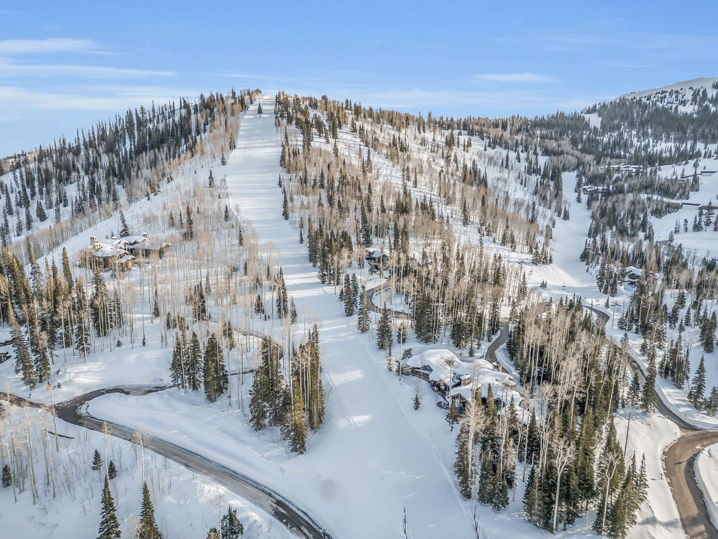 Snow Meadow Villa - Image 60